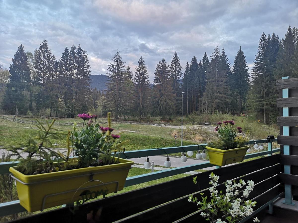 The Evergreen Nest - Silver Mountain Пояна-Брашов Экстерьер фото
