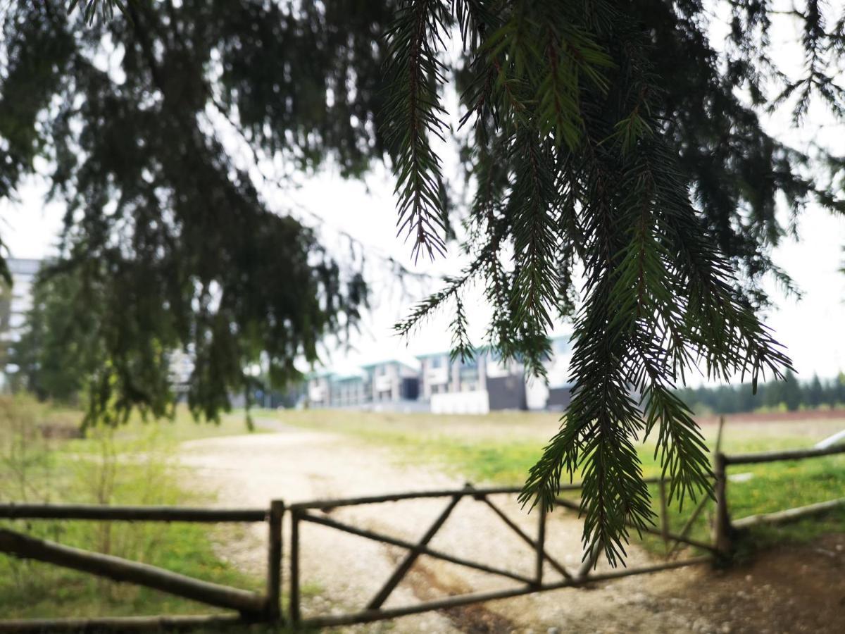 The Evergreen Nest - Silver Mountain Пояна-Брашов Экстерьер фото
