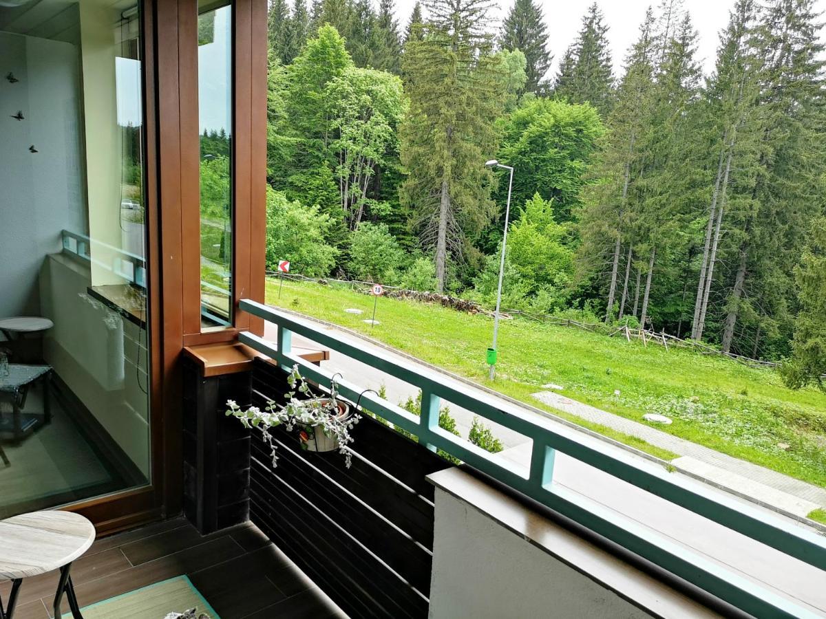 The Evergreen Nest - Silver Mountain Пояна-Брашов Экстерьер фото