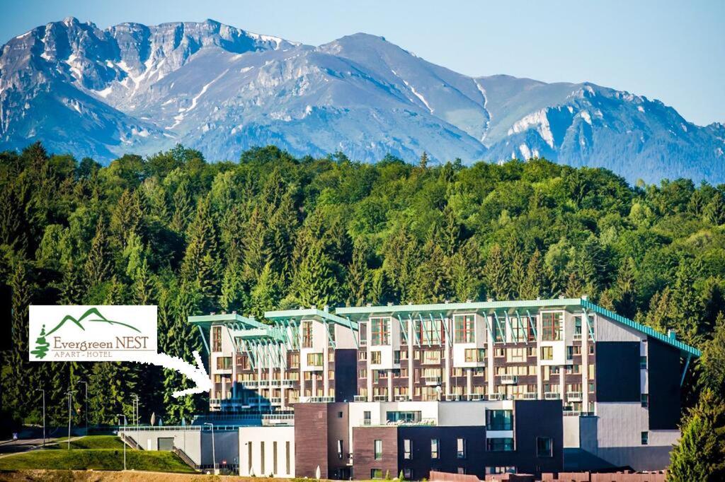 The Evergreen Nest - Silver Mountain Пояна-Брашов Экстерьер фото