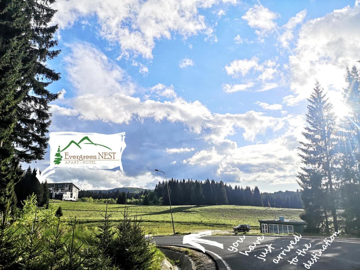 The Evergreen Nest - Silver Mountain Пояна-Брашов Экстерьер фото