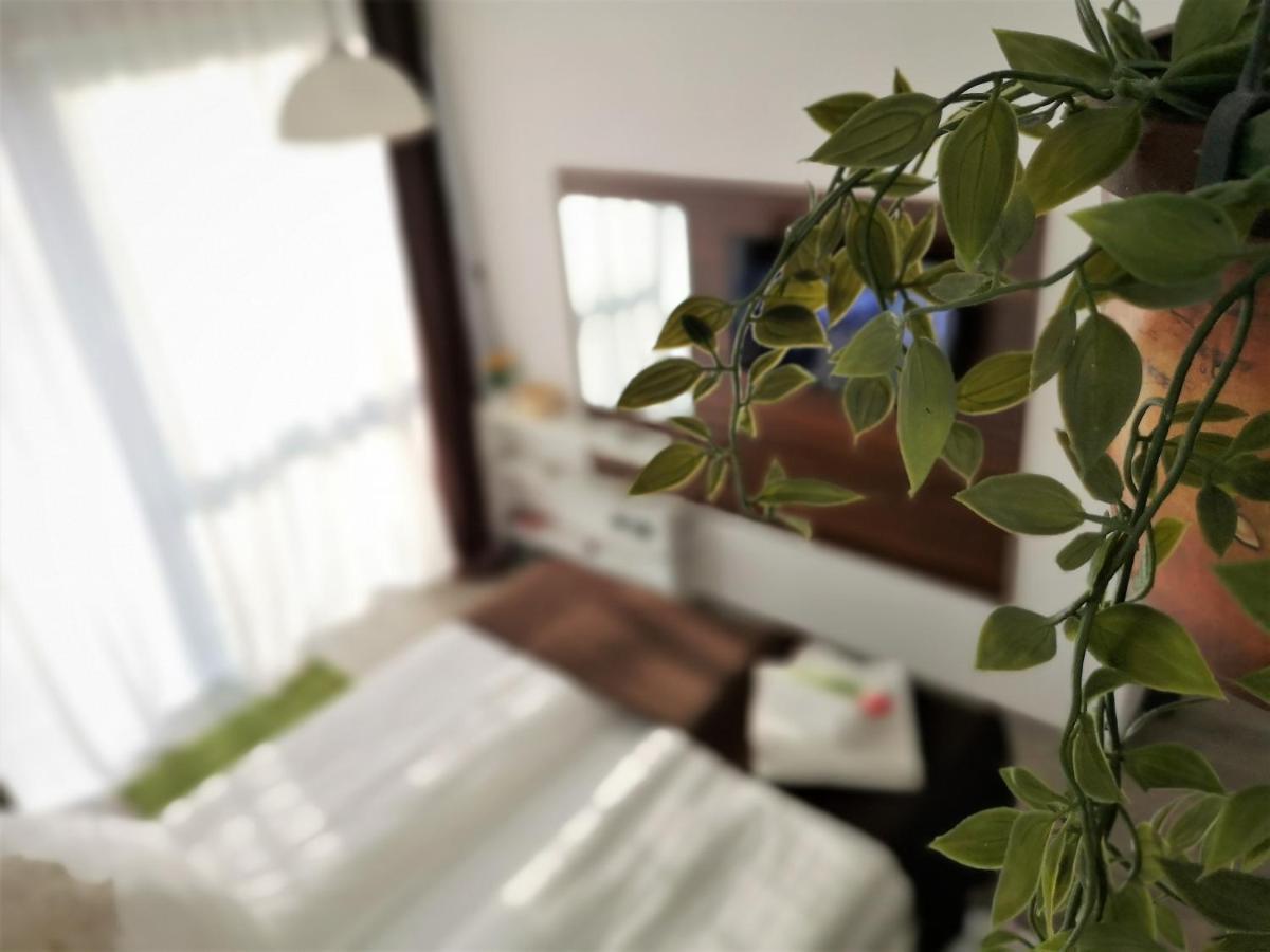 The Evergreen Nest - Silver Mountain Пояна-Брашов Экстерьер фото
