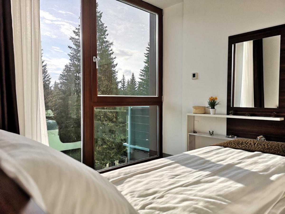 The Evergreen Nest - Silver Mountain Пояна-Брашов Экстерьер фото