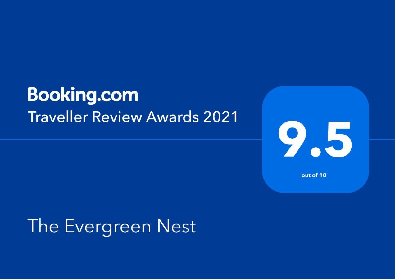 The Evergreen Nest - Silver Mountain Пояна-Брашов Экстерьер фото